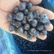 Frozen IQF Berry Blueberry Whole Fruit